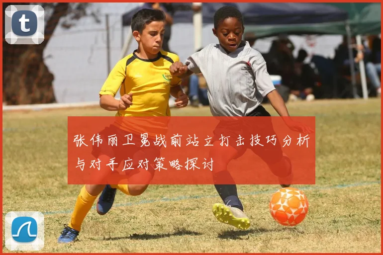 张伟丽卫冕战前站立打击技巧分析与对手应对策略探讨